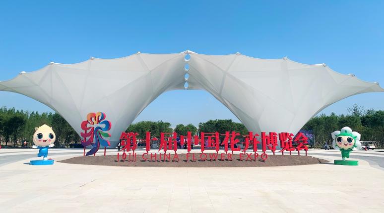 й սͨ | BBѶBBѶͨ˾ʮйչ